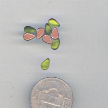 100 VINTAGE OLIVINE MATTE 6X4mm GLASS TEAR CABOCHONS 100 VINTAGE OLIVINE MATTE 6X4mm GLASS TEAR CABOCHONS