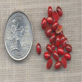 100 VINTAGE RED MATRIX 6mm ROUND CABOCHONS 100 VINTAGE RED MATRIX 6mm ROUND CABOCHONS